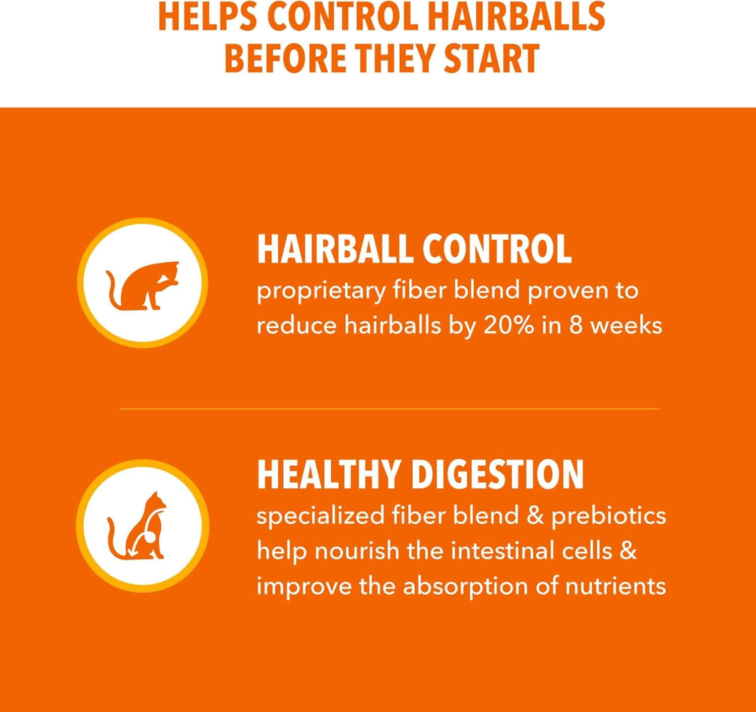 Proactive Health Dry Cat Food Hairball Care