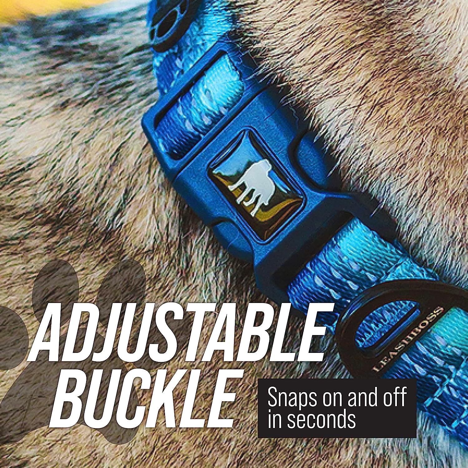 Martingale Collar for Dogs | Reflective Nylon Dog Collar