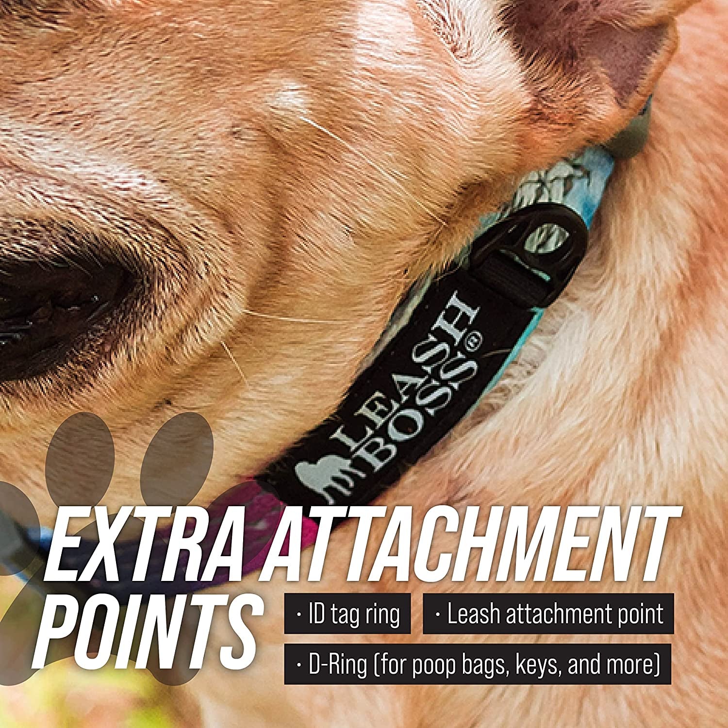 Martingale Collar for Dogs | Reflective Nylon Dog Collar
