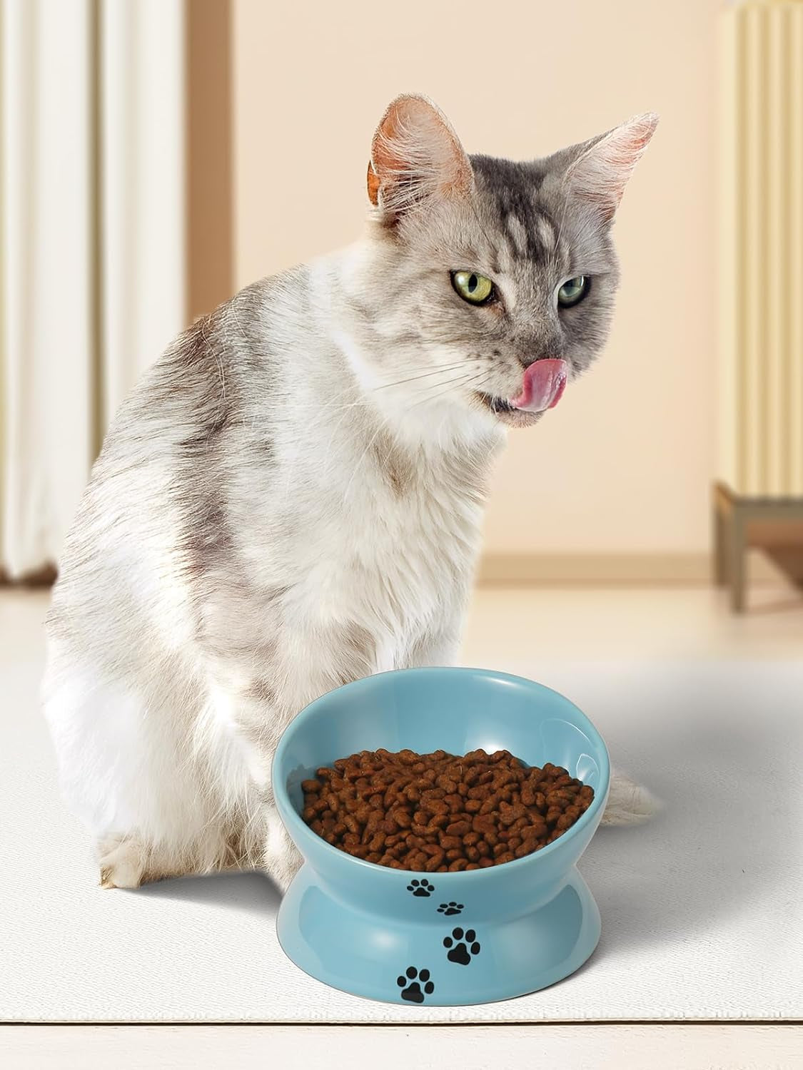 Elevated Cat Food Bowl, Ceramic Raised Bowl, Tilt Angle Protects Cat&