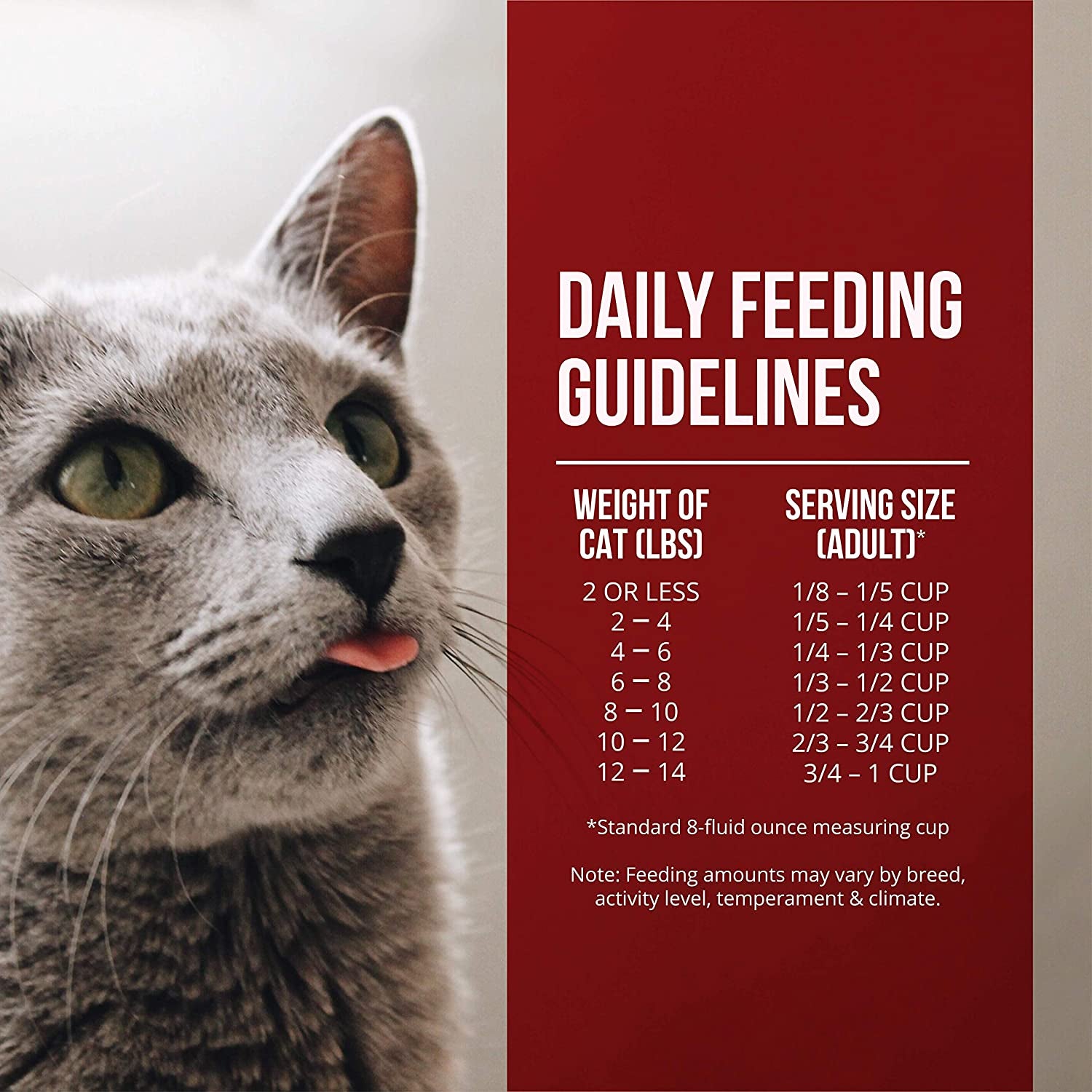 Market Fresh Chicken &amp; Turkey Meal Formula Grain-Free Dry Cat Food 10Lb