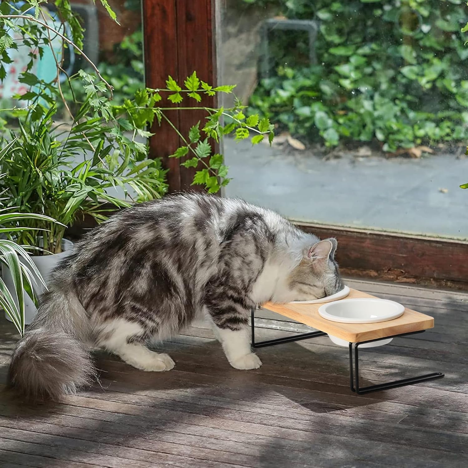 Elevated Cat Ceramic Bowls, Small Dog Raised Food Feeding Dishes, Solid Wood Water Stand Feeder Set for Cats and Puppy