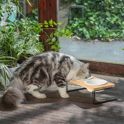 Elevated Cat Ceramic Bowls