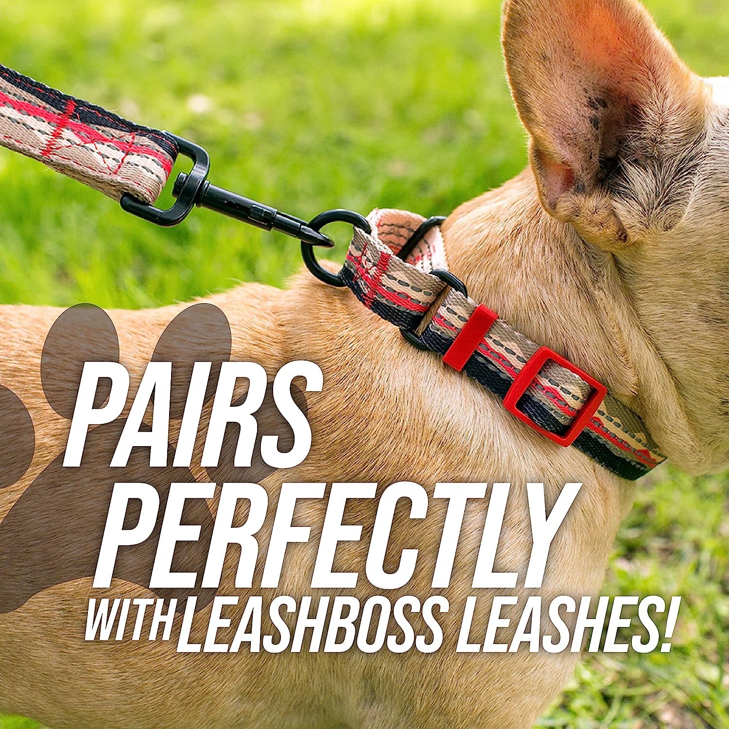 Martingale Collar for Dogs | Reflective Nylon Dog Collar