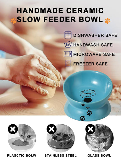 Elevated Cat Food Bowl, Ceramic Raised Bowl, Tilt Angle Protects Cat&