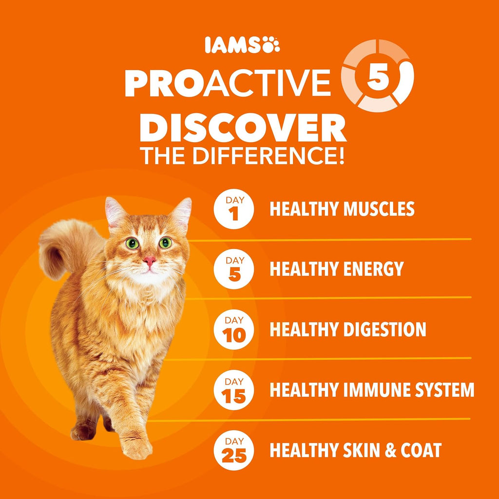 Proactive Health Dry Cat Food, Healthy Cat Food Dry Recipe for Adults, with Chicken 7 Lb. Bag
