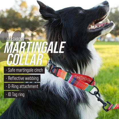 Martingale Collar for Dogs | Reflective Nylon Dog Collar