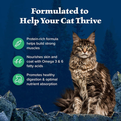 Blue Buffalo Wilderness Healthy Adult Dry Cat Food, Supports Health and Wellness, High-Protein &amp; Grain-Free, Duck, 11-Lb Bag