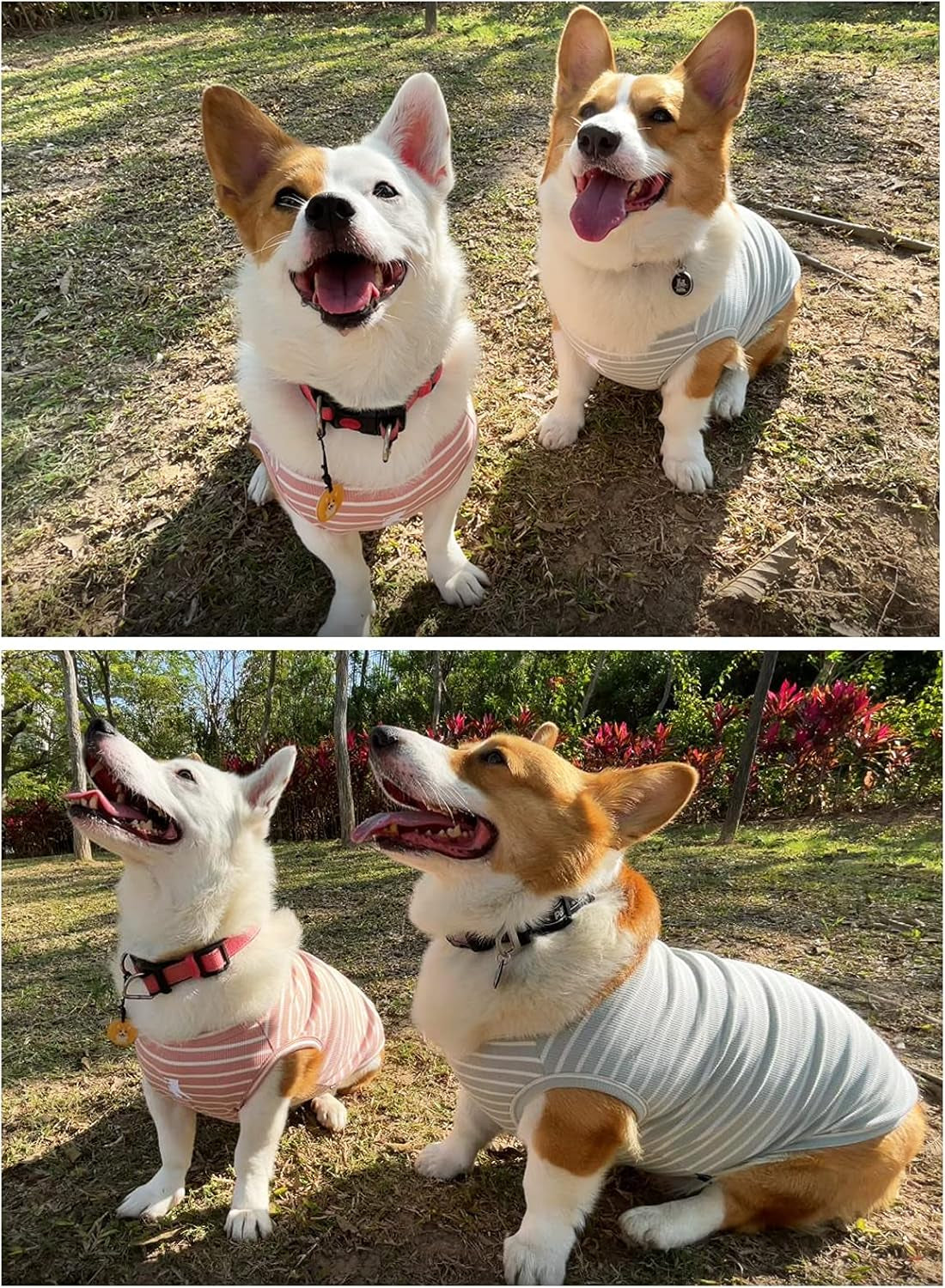 Dog Shirt Vest Lightweight Stretchy Dog T-Shirts Soft Cool Sleeveless Stripe Vests Breathable Clothes for Puppy Kitty Cats Small Medium Large Dogs 2 Pack Pink + Green [ S/Small ]