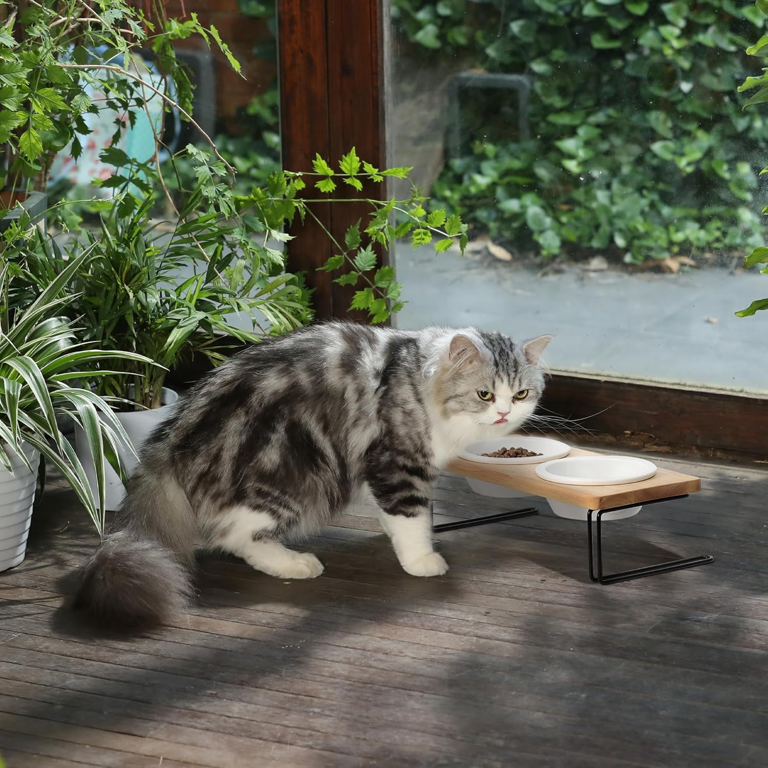 Elevated Cat Ceramic Bowls