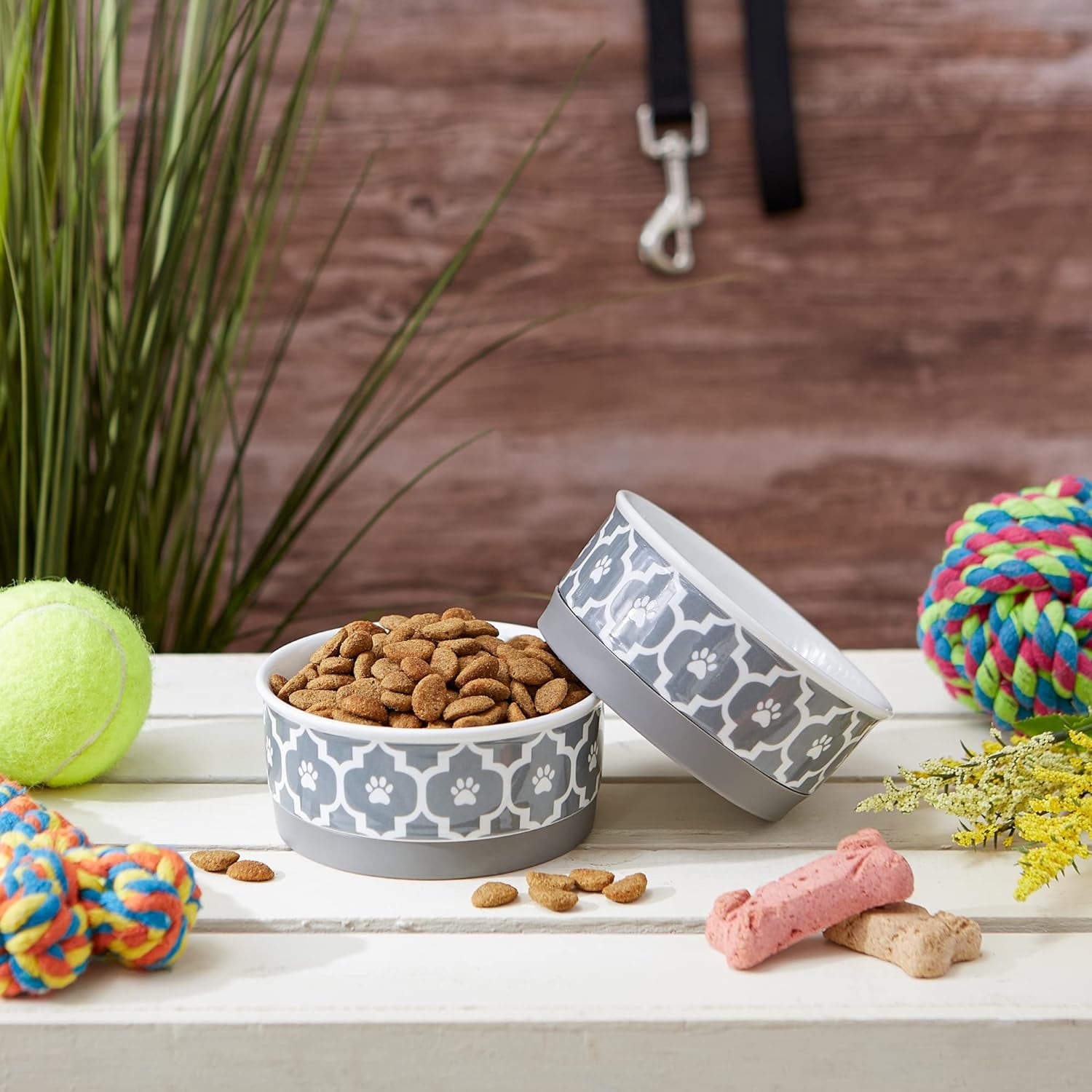 Lattice Collection Pet Bowl &amp; Canister, Small Set, 4.25X2", Gray, 2 Count