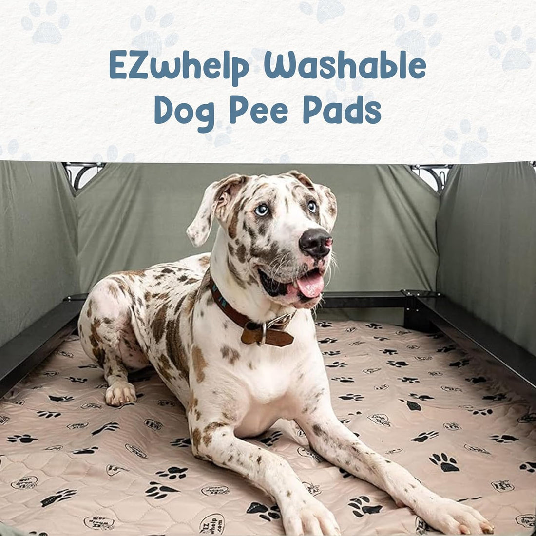 Reusable Dog Pee Pads