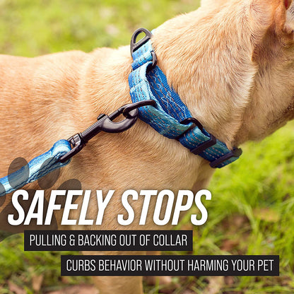 Martingale Collar for Dogs | Reflective Nylon Dog Collar