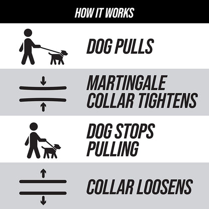 Martingale Collar for Dogs | Reflective Nylon Dog Collar