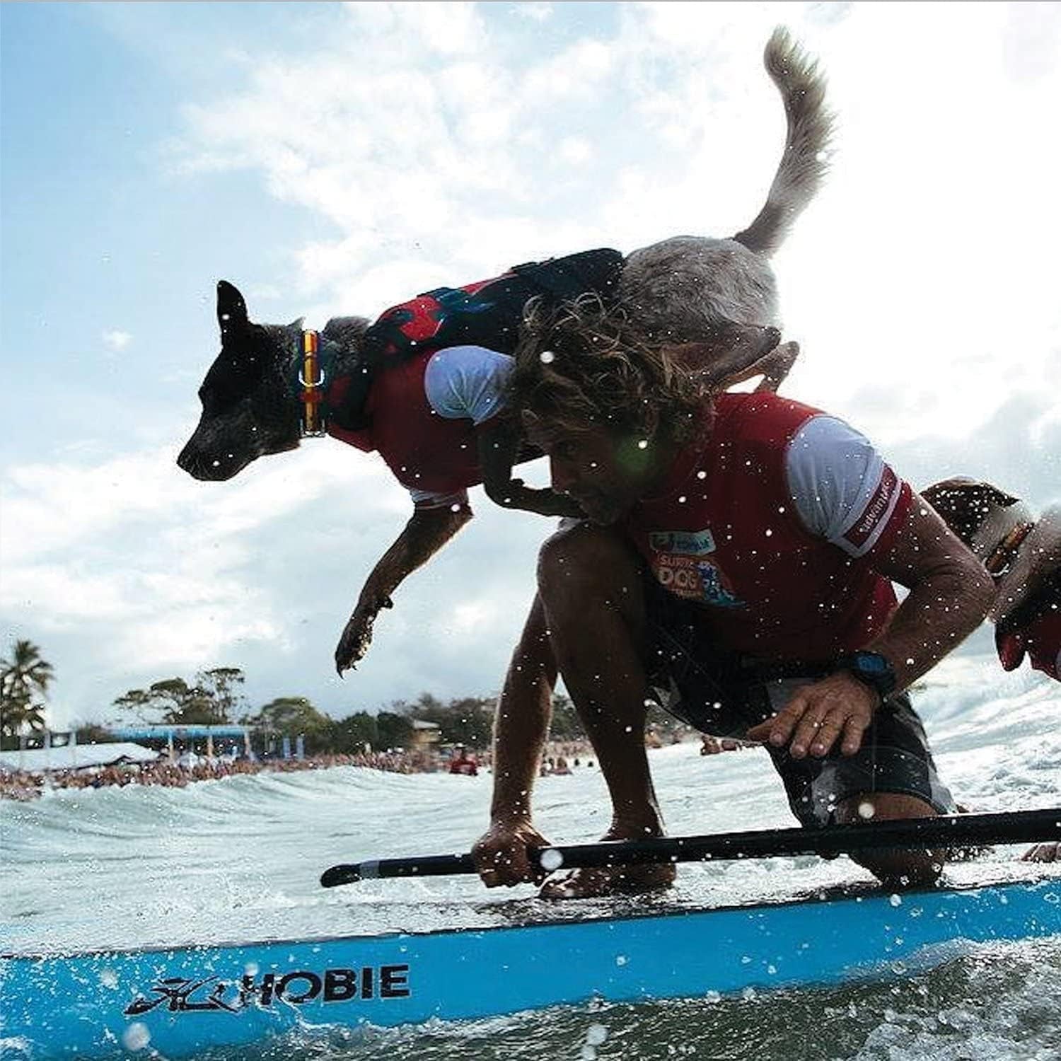 DFD Dog Life Jacket - Adjustable Swimming Safety Vest with Reflective Trim &amp; Durable Grab Handle - 50% More Flotation Material - X-Small, Red