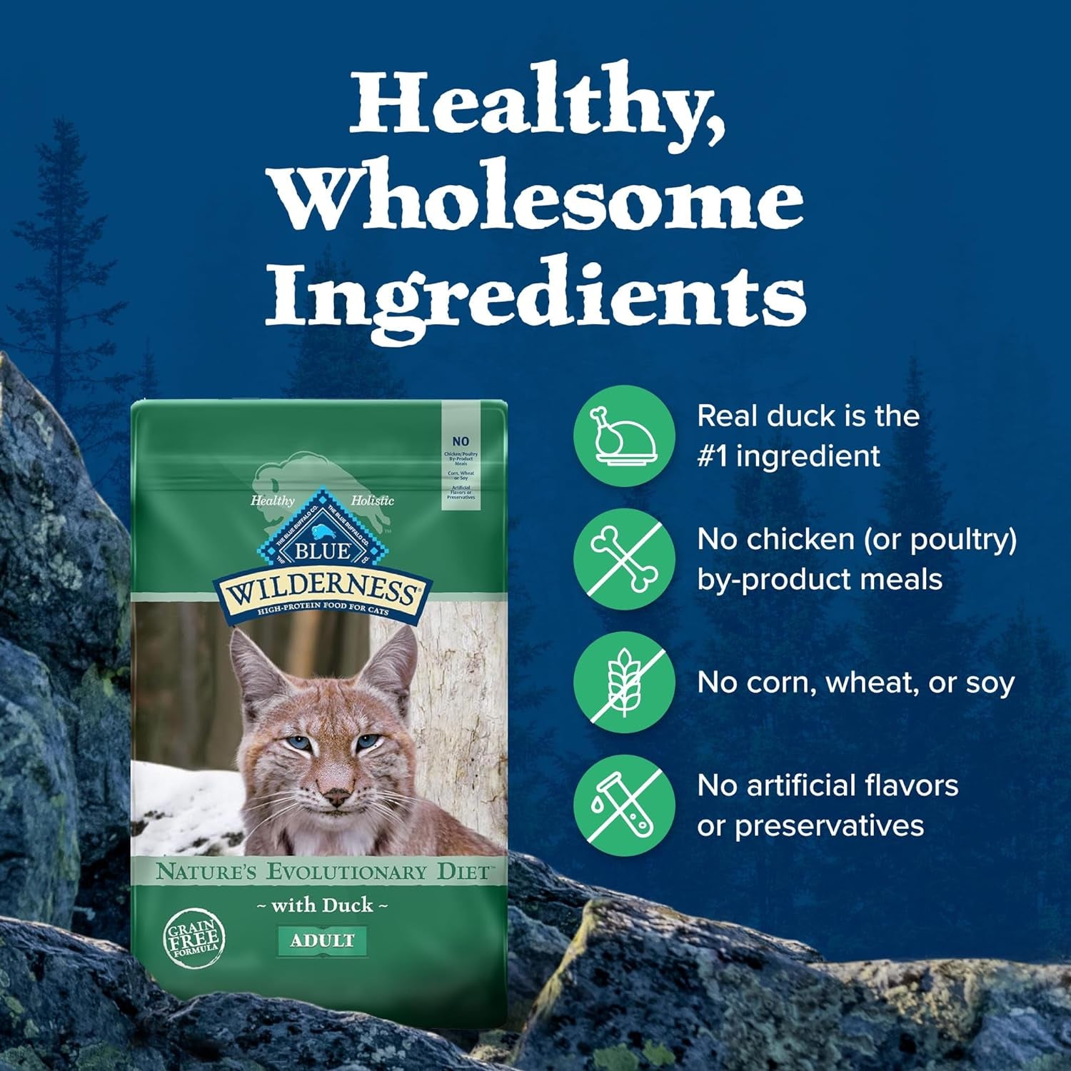 Blue Buffalo Wilderness Healthy Adult Dry Cat Food, Supports Health and Wellness, High-Protein &amp; Grain-Free, Duck, 11-Lb Bag