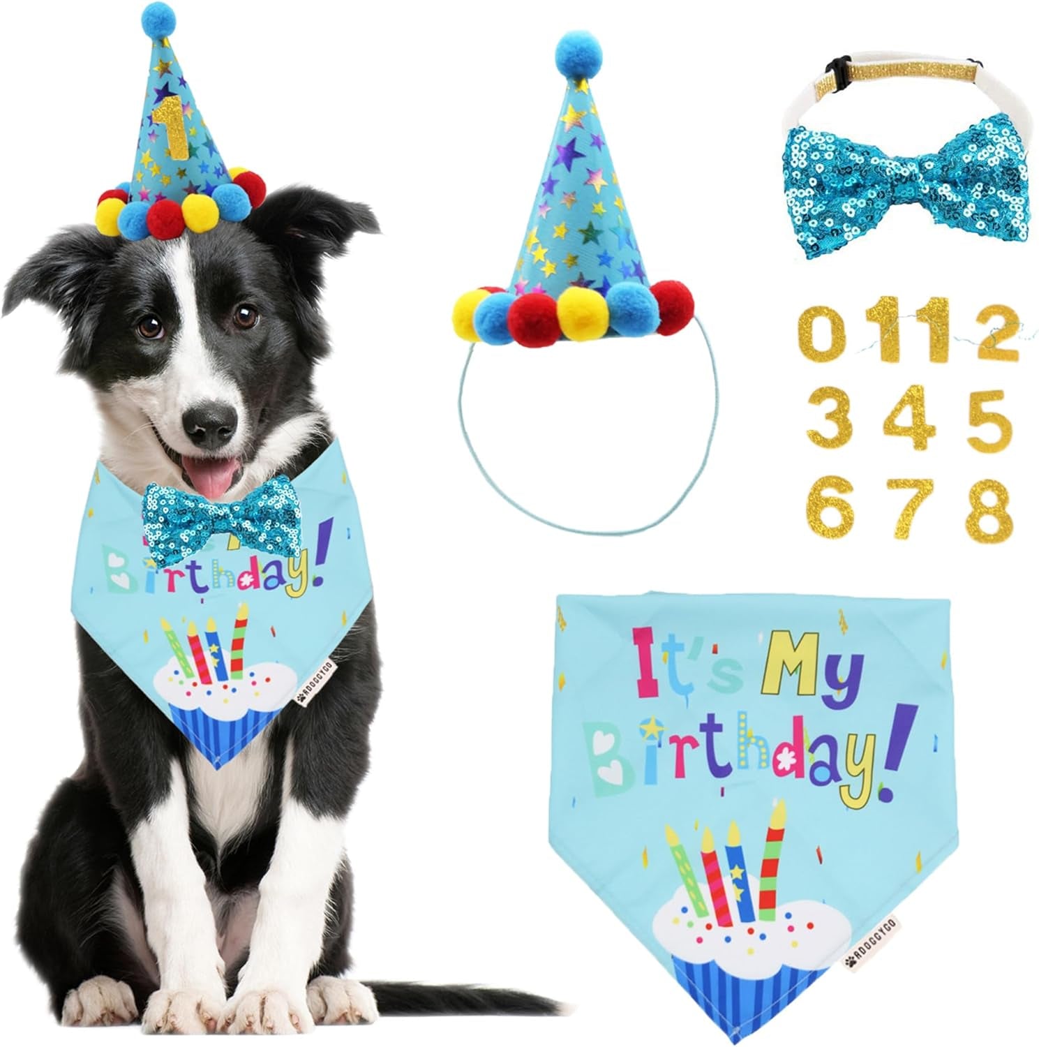 Dog Birthday Bandana Scarf and Blue Boy Pet