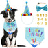 Dog Birthday Bandana Scarf and Blue Boy Pet