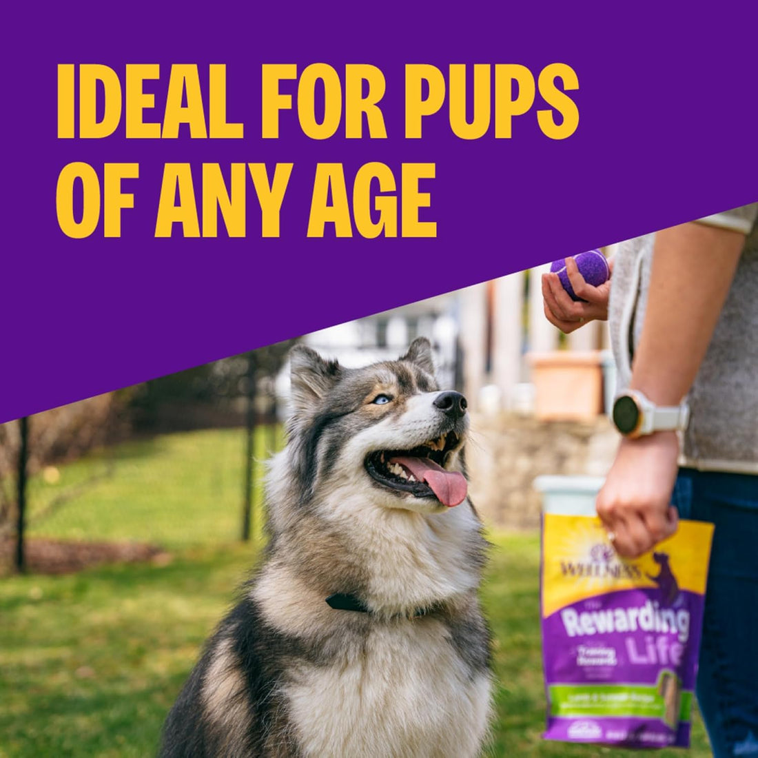 Rewarding Life Soft Dog Training Treats