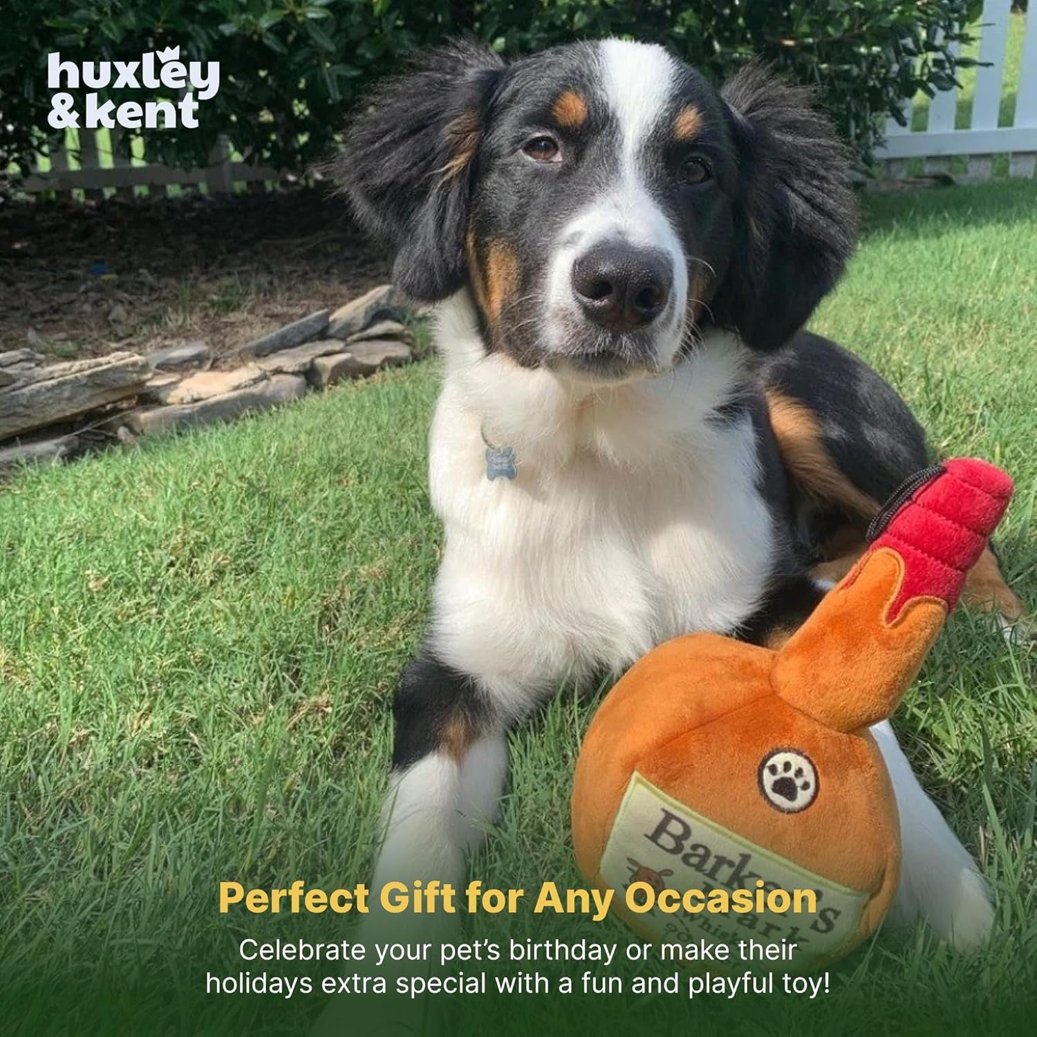 Funny Dog Toy WSqueaker