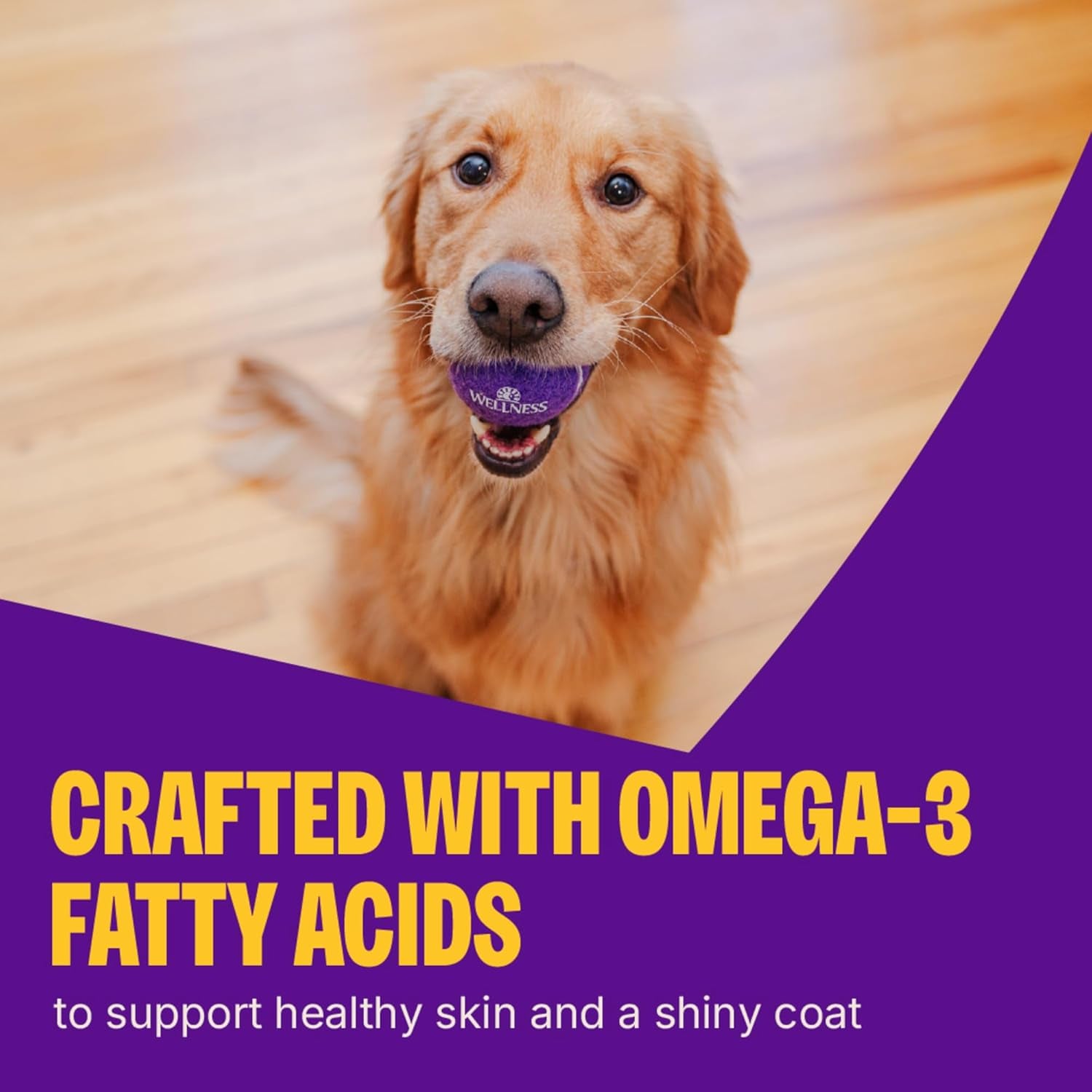 Rewarding Life Soft Dog Training Treats