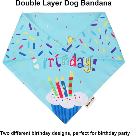 Dog Birthday Bandana Scarf and Blue Boy Pet
