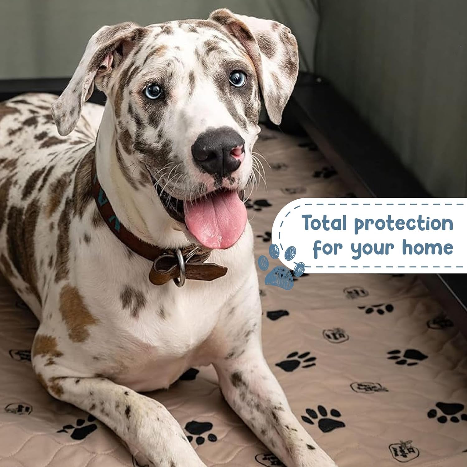 Reusable Dog Pee Pads