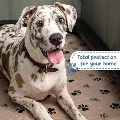 Reusable Dog Pee Pads