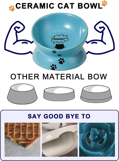 Elevated Cat Food Bowl, Ceramic Raised Bowl, Tilt Angle Protects Cat&