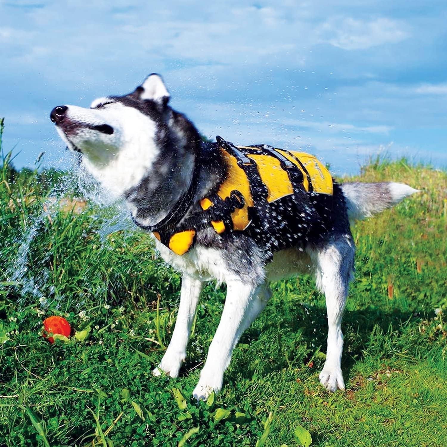 DFD Dog Life Jacket - Adjustable Swimming Safety Vest with Reflective Trim &amp; Durable Grab Handle - 50% More Flotation Material - X-Small, Red