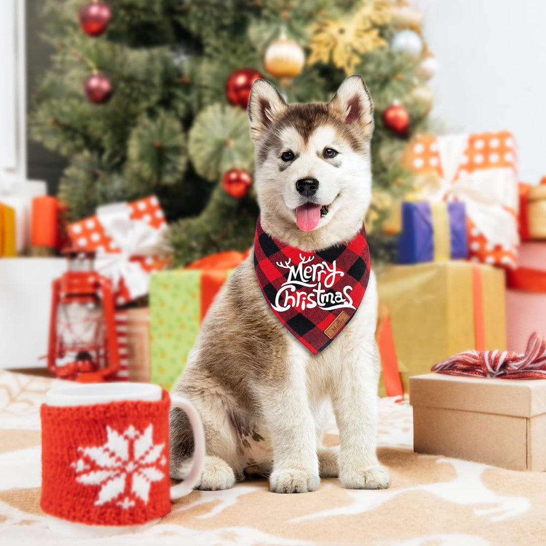2 Pack Christmas Classic Buffalo Plaid Dog Bandanas