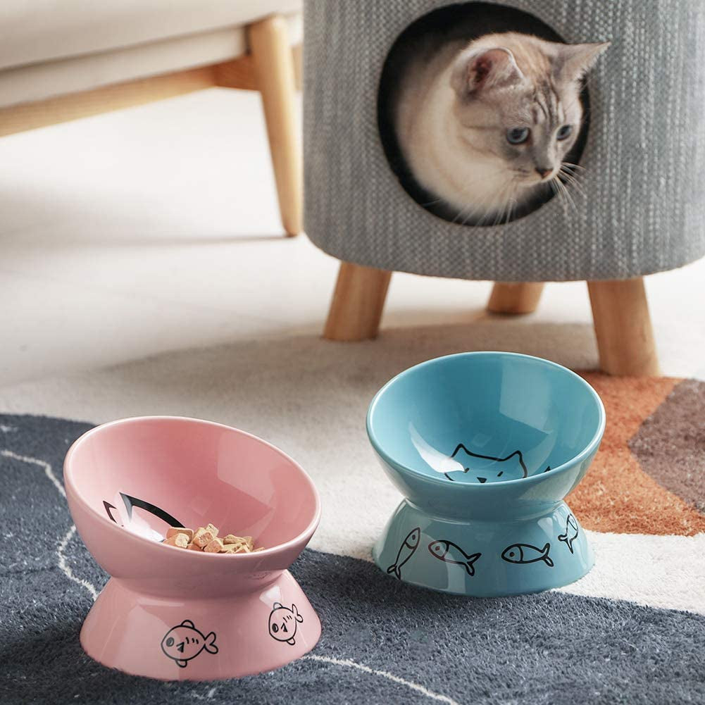 Ceramic Raised Cat Bowls, Slanted Cat Dish Food or Water Bowls, Elevated Porcelain Pet Feeder Bowl Protect Cat&