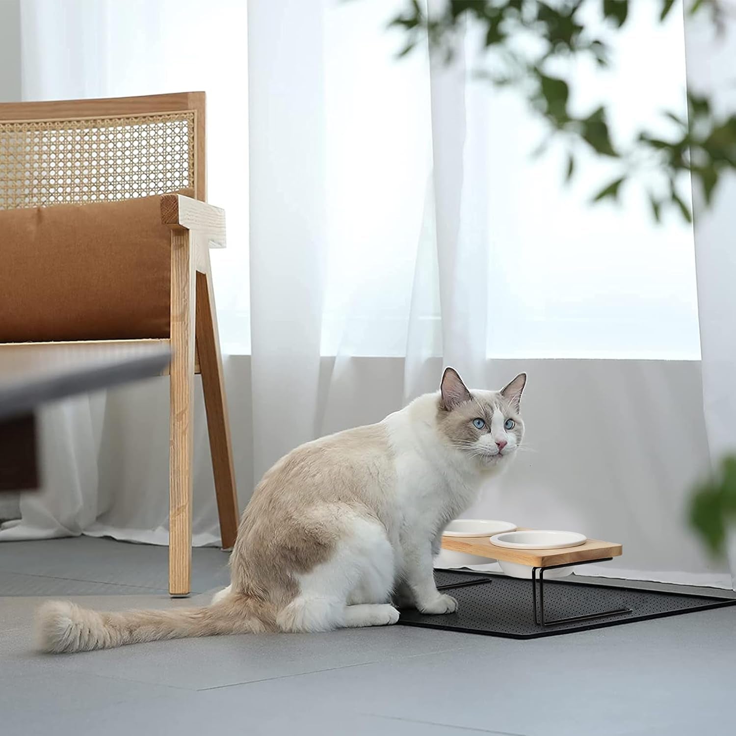 Elevated Cat Ceramic Bowls